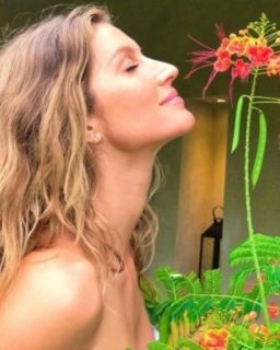 The Best Blonde Celebs The Best Blonde Celebs