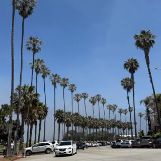 Coco in California!