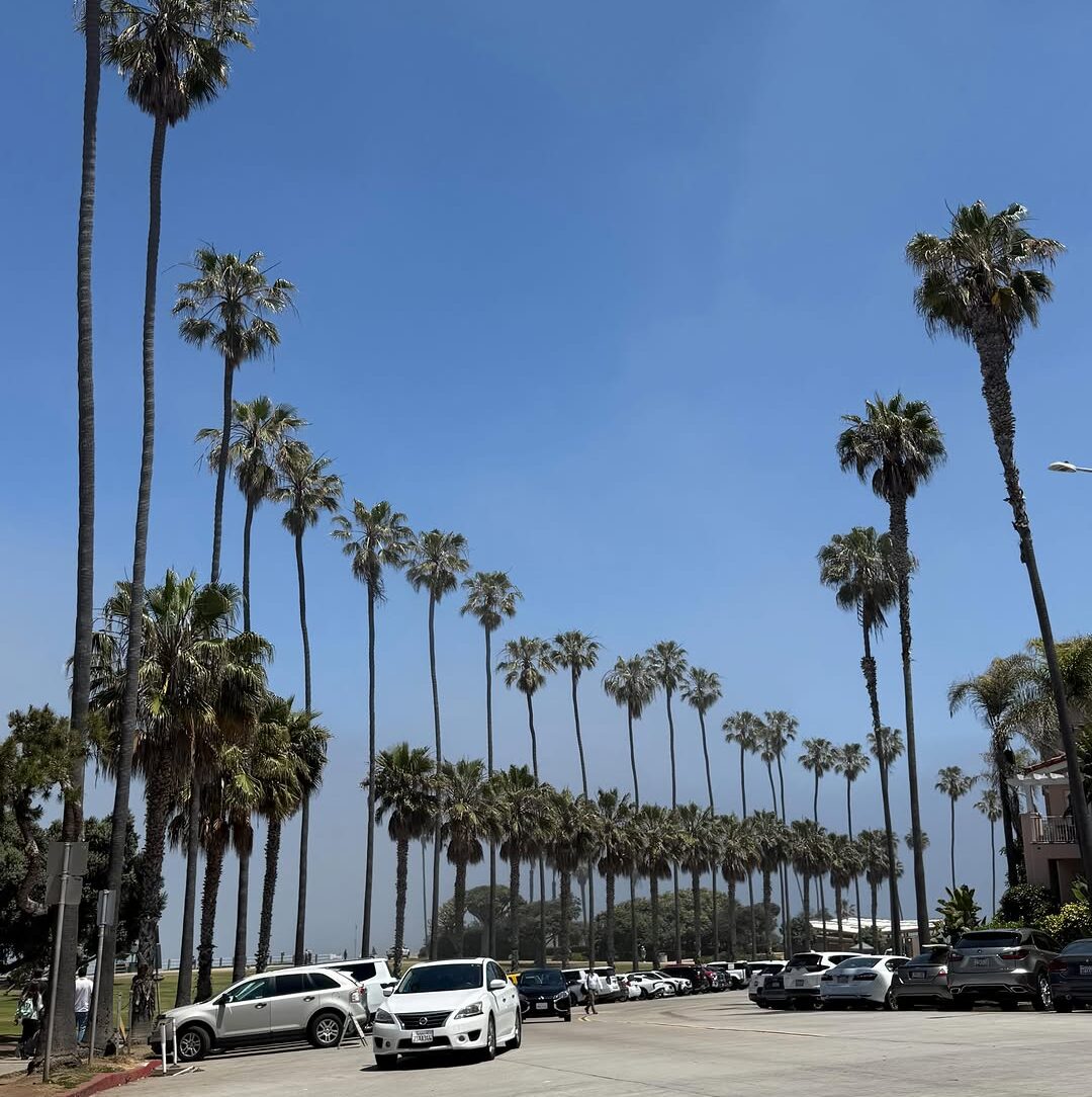 Coco in California!